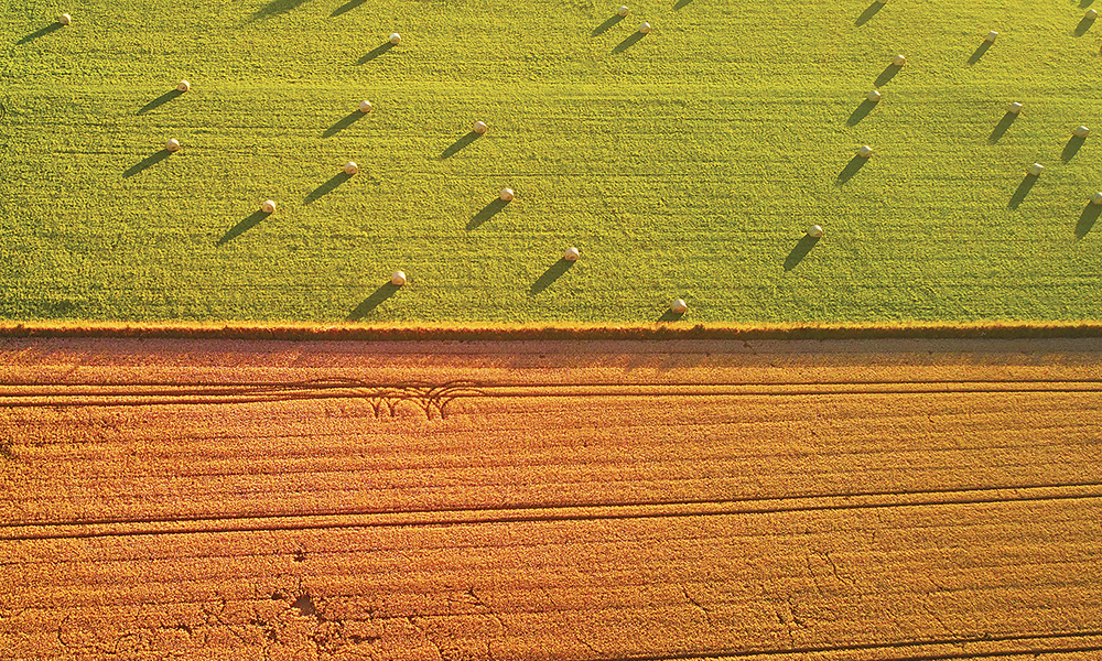La spéculation, et après ?