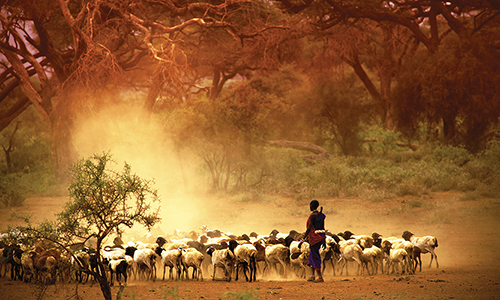 Au Kenya, la propriété au cœur des luttes
