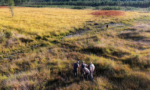 Itiner-e fait revivre en ligne les voies romaines